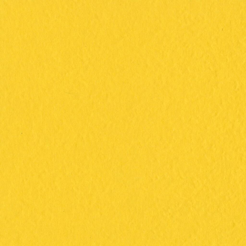 10179331.jpg img